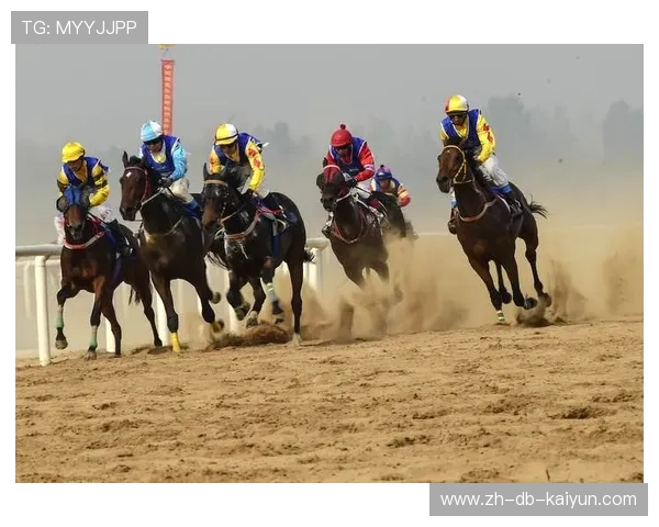 荷兰马术协会与非洲马术协会开展技术援助项目，提升当地水平。
