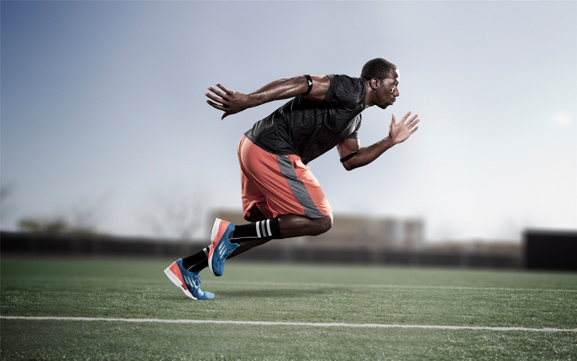 东京奥运向中国体育发出战帖,金牌不断刷新纪录!,东京奥运会体育比赛